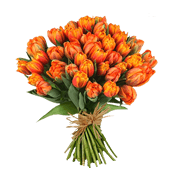 Enviar Flores Virtuais